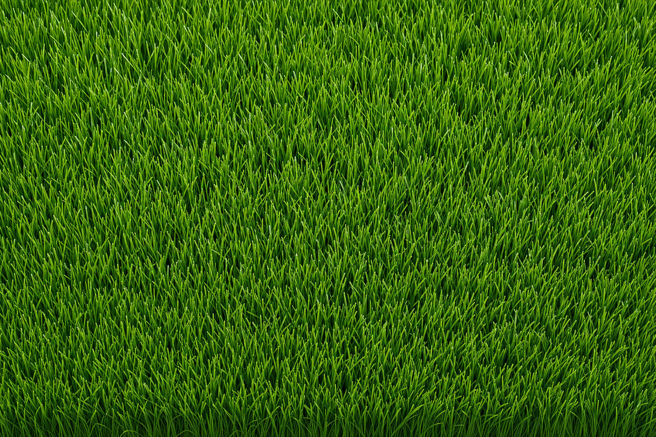 Synthetic lawn turf in North Port, FL